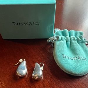 Tiffany & Co. Silver Earrings